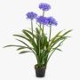 Große künstliche Pflanze Agapanthus LESEDA im Dekotopf, blau, 105cm