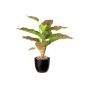 Fake Pflanze Dieffenbachia ATTERESA, Wurzeln, Dekotopf, grün-rot, 35cm