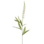 Künstliche Blume Ehrenpreis BANIALA, creme, 75cm