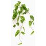 Künstliche Hängepflanze Philodendron monstera adansonii RATLEV auf Steckstab, 90cm