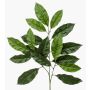 Deko Zweig Walnussbaum BANIESA, schwer brennbar, grün, 70cm