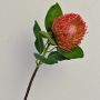 Kunstblume Nadelkissen Protea TANJA, rot-orange, 65cm, Ø10cm
