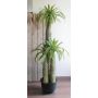 Künstliche Madagaskarpalme BRAM im Dekotopf, 160cm