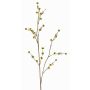 Künstlicher Zweig Stirlingia latifolia COLLAN, gelb-grün, 75cm, Ø1cm