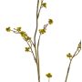 Künstlicher Zweig Stirlingia latifolia COLLAN, gelb-grün, 75cm, Ø1cm