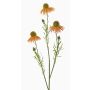 Künstlicher Sonnenhut Zweig CELIO, aprikose, 70cm, Ø6-7cm