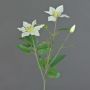 Kunstblumenzweig Waldrebe DORAN, weiß-grün, 75cm, Ø11-13cm