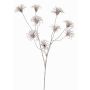 Künstliche Clematis Samenstand HARWAY, dunkelbraun, 105cm, Ø7cm