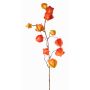 Künstlicher Physalis Zweig PERSEI mit Früchten, orange, 80cm