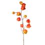 Künstlicher Physalis Zweig PERSEI mit Früchten, orange, 80cm