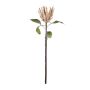 Künstliche Blume Königs-Protea BIENNINA, braun, 65cm