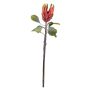 Künstliche Blume Königs-Protea BIENNINA, rot, 65cm