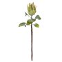 Künstliche Blume Königs-Protea BIENNINA, grün-braun, 65cm