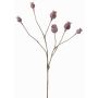 Mohnkapseln Zweig künstlich ASUMAN, braun, 70cm, Ø2-3cm
