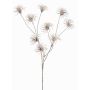 Kunst Clematis Samenstand HARWAY, braun, 70cm, Ø7cm