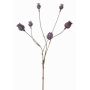 Mohnkapseln Zweig künstlich ASUMAN, dunkelbraun, 70cm, Ø2-3cm