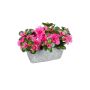 Künstliche Blume Azalee CELIANNE im Dekotopf, pink, 24x15x19cm