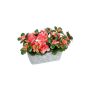 Künstliche Blume Azalee CELIANNE im Dekotopf, lachs, 24x15x19cm