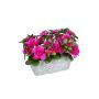 Künstliche Blume Azalee CELIANNE im Dekotopf, magenta, 24x15x19cm