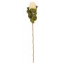 Künstliche Blume Nadelkissen Protea CILETTA, creme, 55cm
