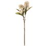 Kunstzweig Skimmie DANDOLIN mit Blüten, creme, 55cm