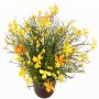 Dekoblume Fleißiges Lieschen GISINDA im Dekotopf, gelb-orange, 25cm