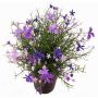 Dekoblume Fleißiges Lieschen GISINDA im Dekotopf, lila-flieder, 25cm