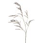 Deko Zweig Amaranth CERRO mit Blüten, braun, 100cm