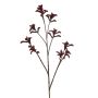 Künstliche Kängurublume LUINA, burgunderrot, 85cm