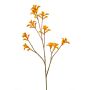Künstliche Kängurublume LUINA, orange, 85cm