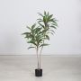 Kunstbaum Dracaena Fragrans NELITA, Kunststamm, grün, 120cm