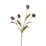 Dekozweig Sonnenhut ELISSENDA, mauve, 70cm