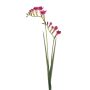 Kunstzweig Freesie SVERINA, pink, 80cm
