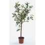 Künstlicher Olivenbaum ALBERTO, Echtstamm, mit Früchten, 65cm