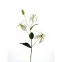 Deko Zweig Gloriosa JARENIA, weiß, 80cm