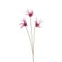 Dekozweig Sonnenhut HERILIA, rosa, 100cm