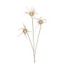Dekozweig Sonnenhut HERILIA, creme, 100cm
