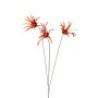 Dekozweig Sonnenhut HERILIA, orange, 100cm