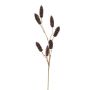 Deko Zweig Kiefer MONELIA mit Zapfen, braun, 90cm