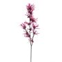 Deko Zweig Zaubernuss HELYRA mit Blüten, pink, 75cm