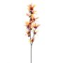 Deko Zweig Zaubernuss HELYRA mit Blüten, orange, 75cm