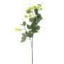 Deko Zweig Hopfen VESPERA mit Blüten, grün, 80cm