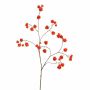 Deko Zweig Physalis WINOREA, Früchte, orange, 125cm