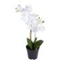 Kunst Phalaenopsis Orchidee LEYLAMA, Wurzeln, weiß, 45cm