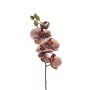 Kunst Phalaenopsis Orchidee LIONILA, grün-burgunderrot, 70cm