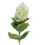 Kunstblume Hortensie Paniculata ILVYRA, weiß, 85cm