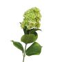 Kunstblume Hortensie Paniculata ILVYRA, grün, 85cm