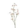 Dekozweig Jasmin MIRELDA, lachs, 85cm