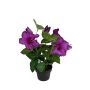 Künstliche Blume Petunie MYRKANA im Dekotopf, violett, 25cm