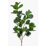 Kunstzweig Ficus Panda BANDE, grün, 90cm